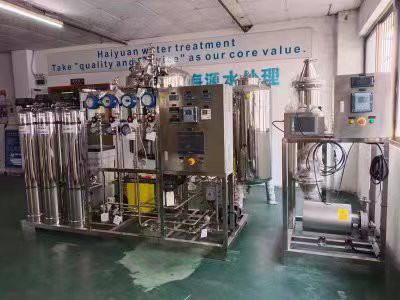 500LPH ένα πέρασμα RO και σύστημα EDI για το νερό PW